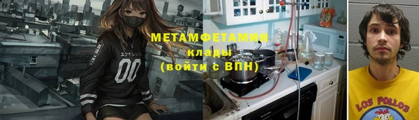 индика Алексин