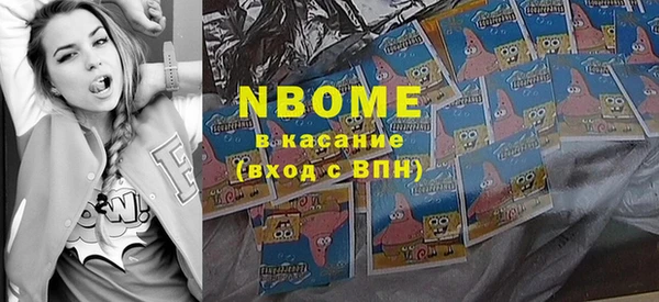 индика Алексин