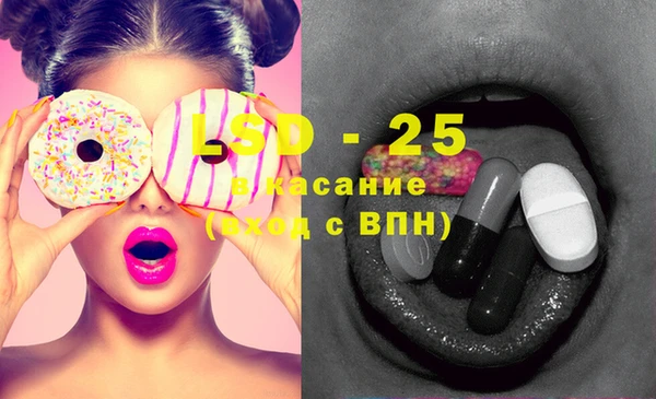 индика Алексин