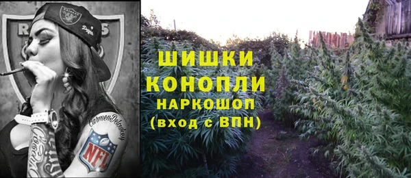 индика Алексин