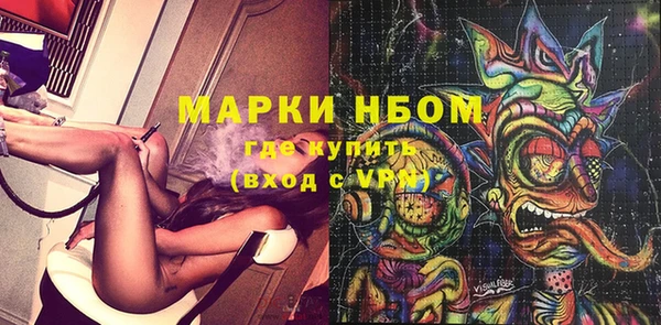индика Алексин
