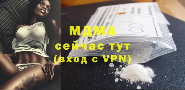 индика Алексин